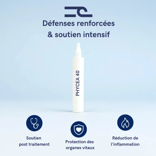 PHYCÉA 40 – Image 2