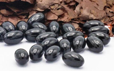 L’Astaxanthine, une perle pour la santé cellulaire