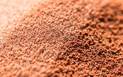 L’Astaxanthine naturelle soutient la santé cardiovasculaire