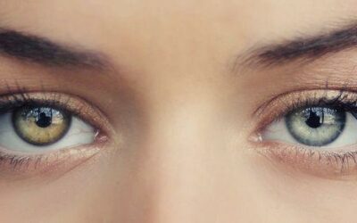 L’astaxanthine, une « perle orangée » pour le santé des yeux